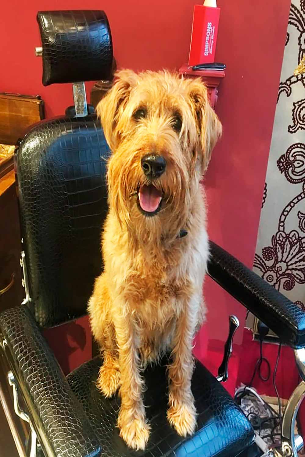 British Barber Company 3