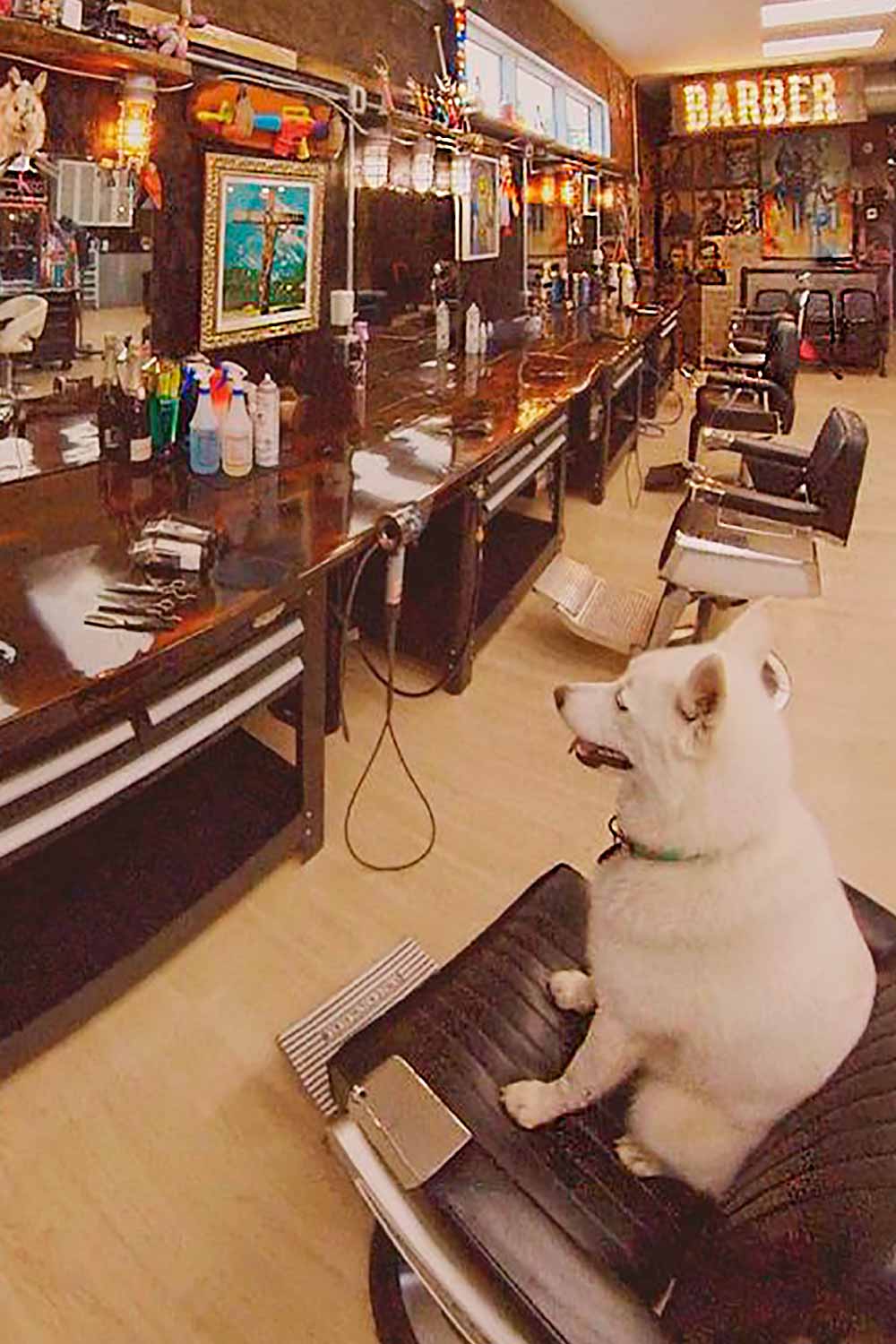 Dollhouse Hair Boutique & Barber Blonde 2