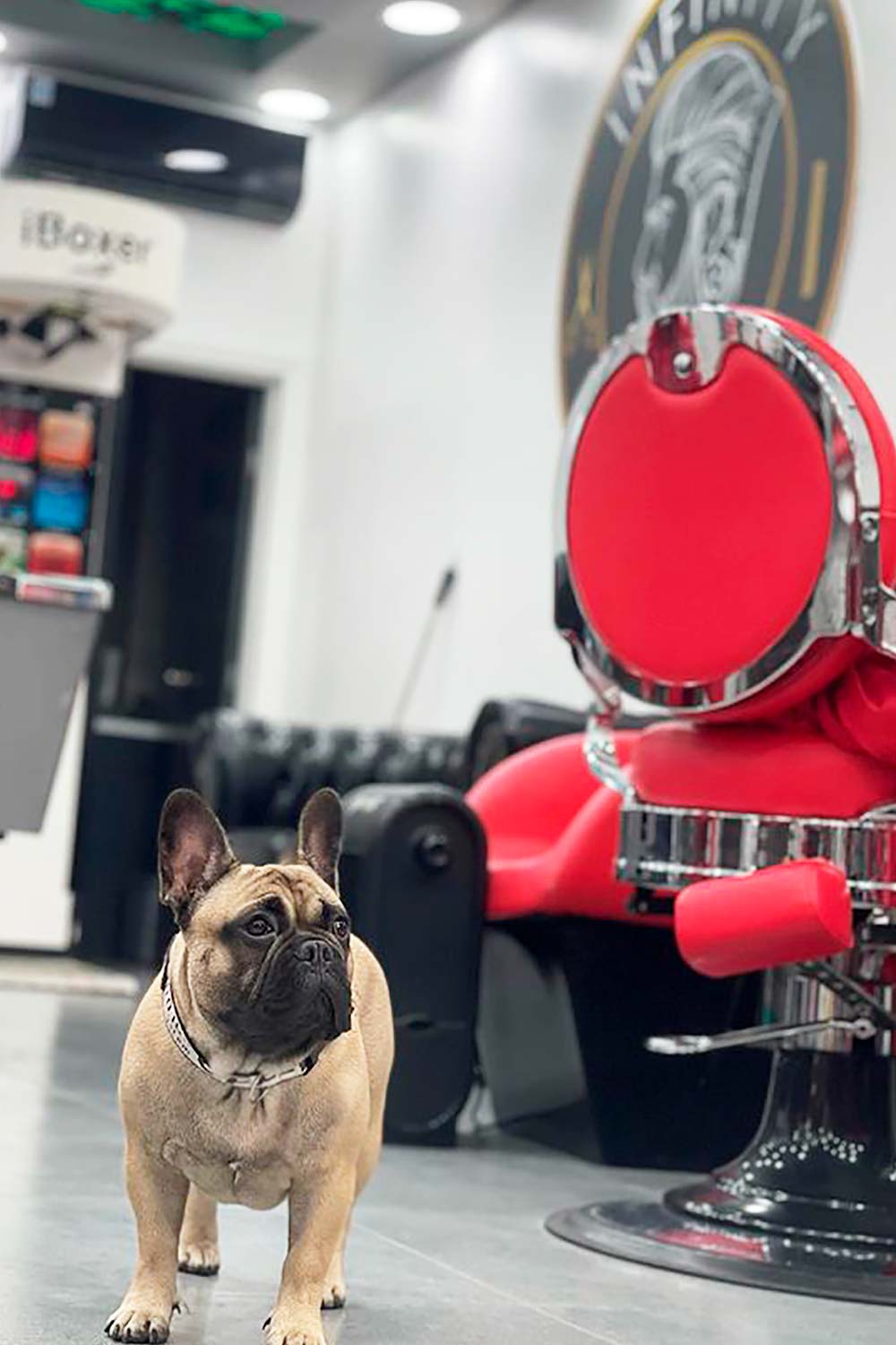 Infinity Barbers Leeds 5