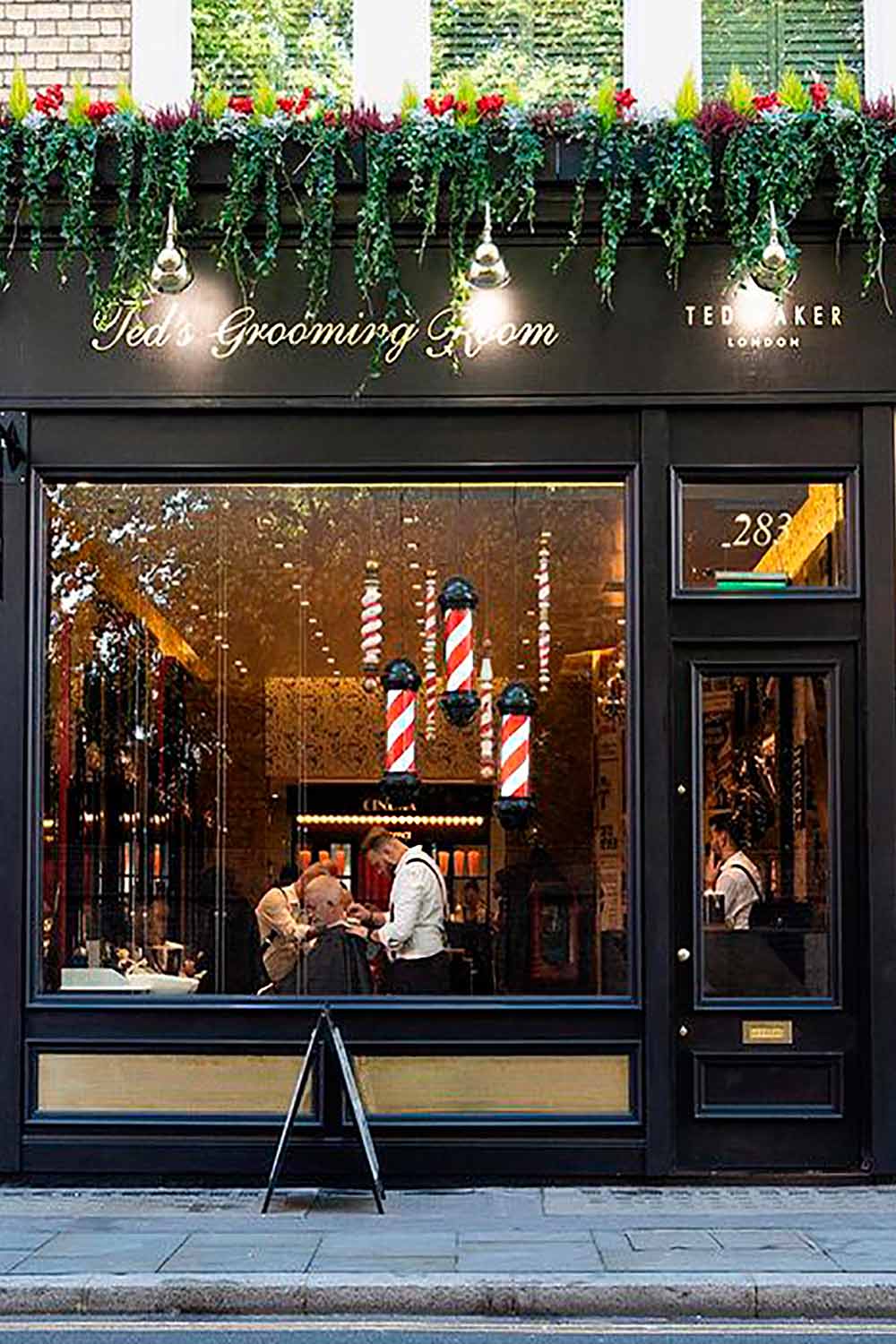 Ted's Grooming Room 2