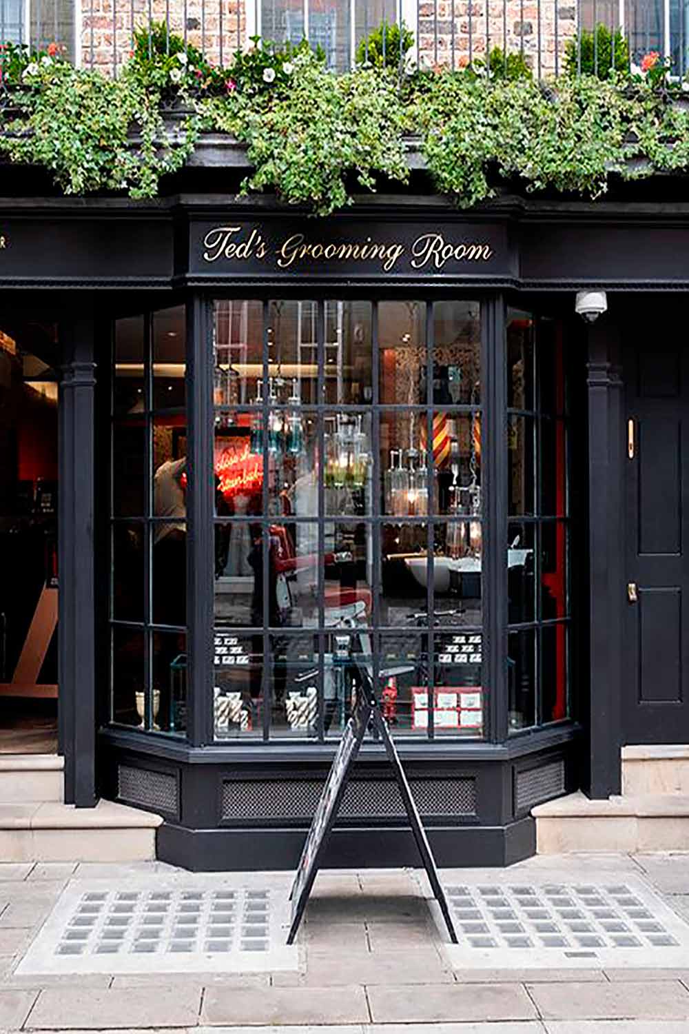 Ted's Grooming Room 3