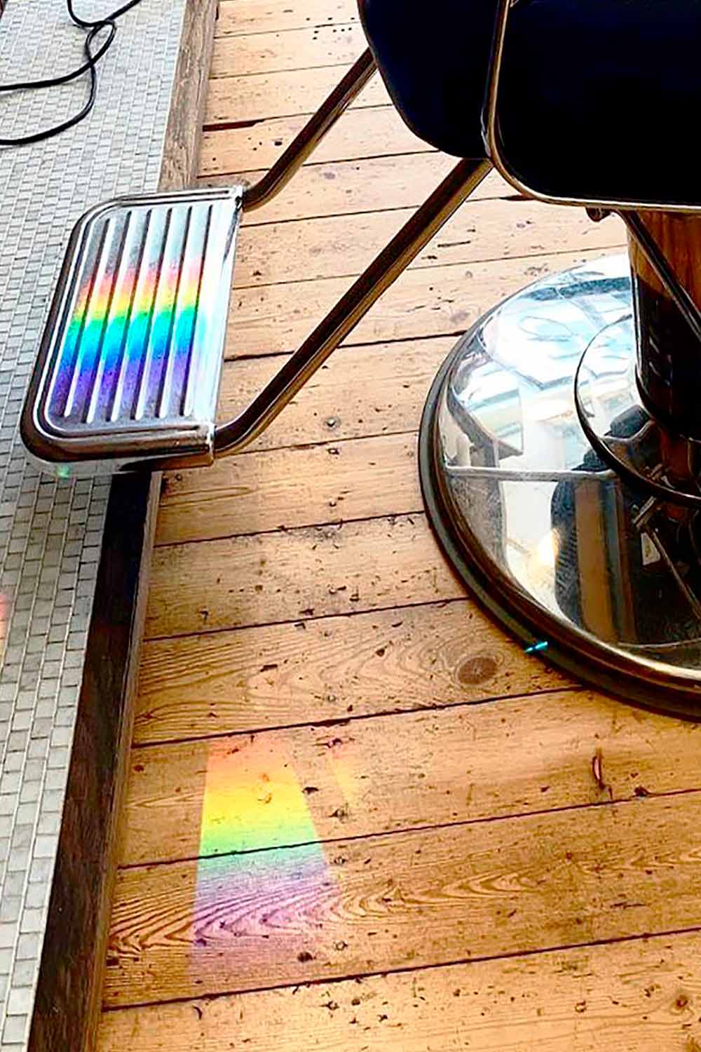 The Lion & The Fox 3