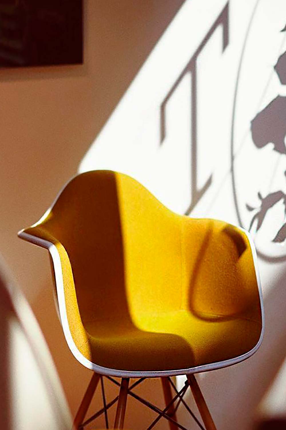 The Lion & The Fox 4