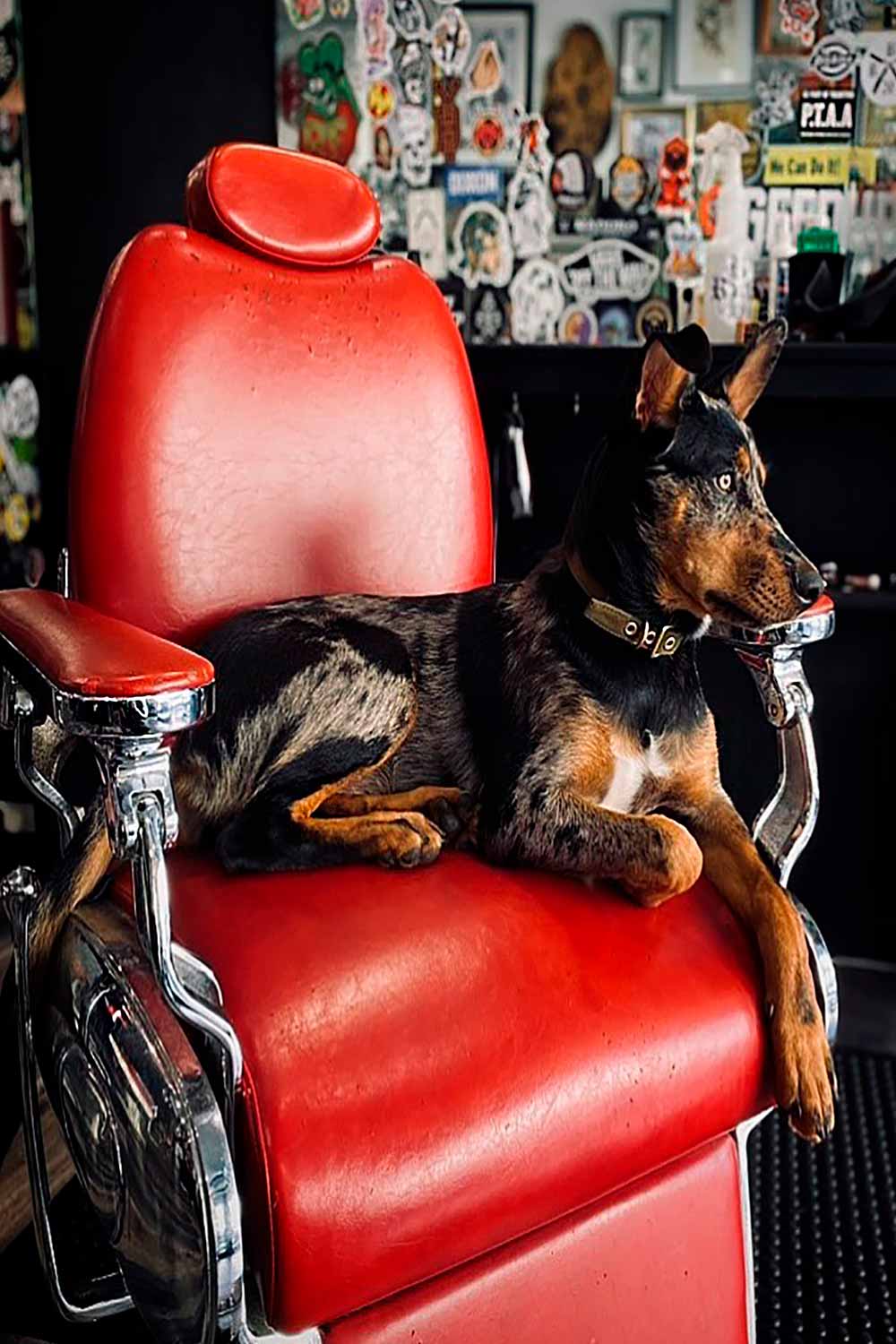 Rattlin'Bones Barber Shop 2