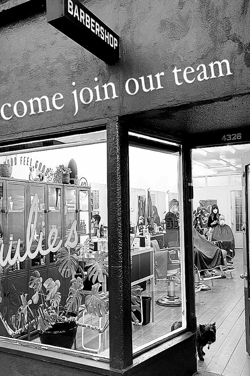 Paulie’s Barbershop 2