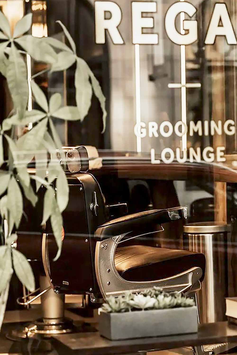 Regal Grooming Lounge 2