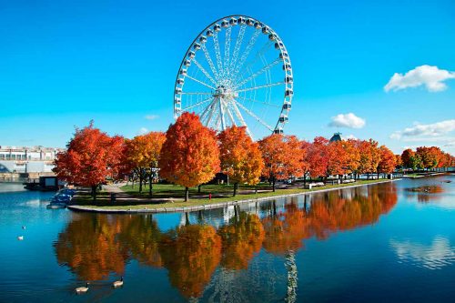 Top Barber Shops In Montreal